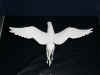 Hippogriff_Male_5_Small.JPG (25892 bytes)