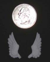 tiny wings.