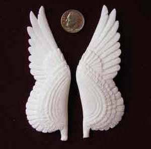 curvy wings.