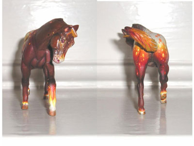 Fire front back.